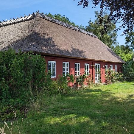 Bed and Breakfast Under Valnodden Stubbekobing Екстер'єр фото