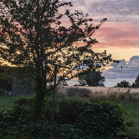 Bed and Breakfast Under Valnodden Stubbekobing Екстер'єр фото