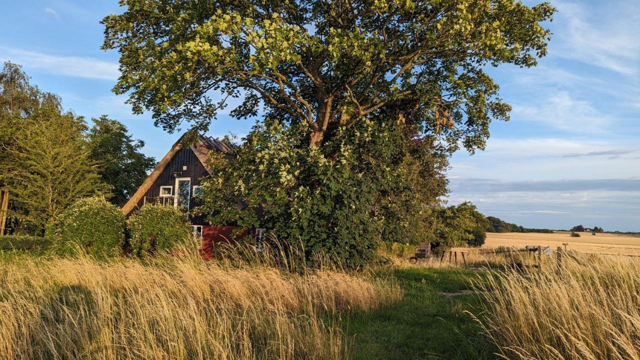 Bed and Breakfast Under Valnodden Stubbekobing Екстер'єр фото
