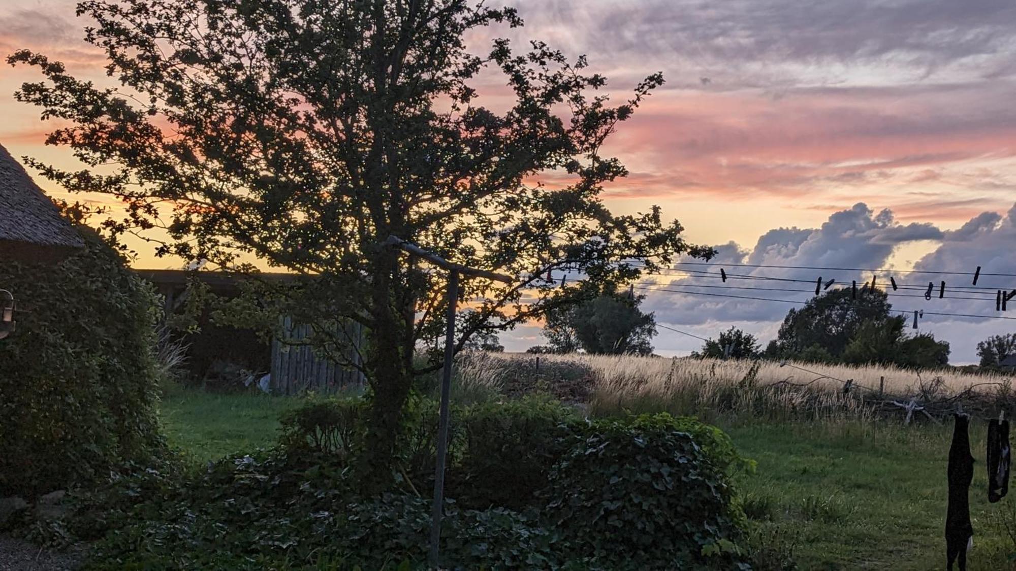 Bed and Breakfast Under Valnodden Stubbekobing Екстер'єр фото